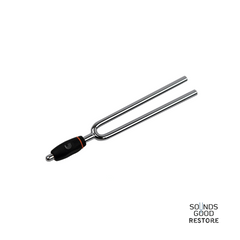 D'ADDARIO PWTF-A TUNING FORK (A)
