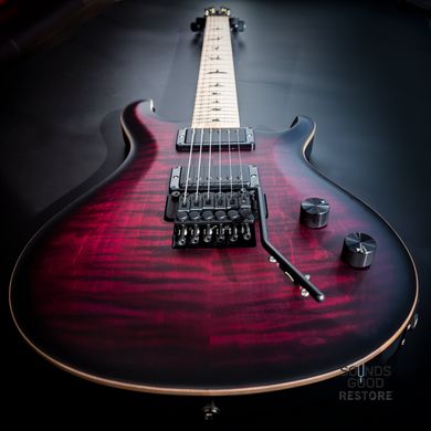 PRS DW CE 24 FLOYD (Waring Burst) #0346593