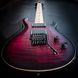 PRS DW CE 24 FLOYD (Waring Burst) #0346593