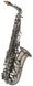 J.MICHAEL AL-980GML (S) Alto Saxophone