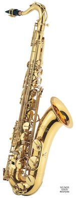 J.MICHAEL TN-600 (P) Tenor Saxophone