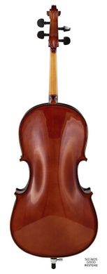 STENTOR 1108/E STUDENT II CELLO OUTFIT 1/2