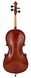 STENTOR 1108/E STUDENT II CELLO OUTFIT 1/2