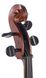 STENTOR 1108/E STUDENT II CELLO OUTFIT 1/2