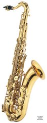 J.MICHAEL TN-600 (P) Tenor Saxophone