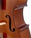 STENTOR 1102/A STUDENT I CELLO OUTFIT 4/4