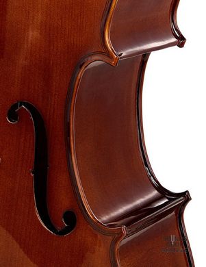 STENTOR 1102/F STUDENT I CELLO OUTFIT 1/4