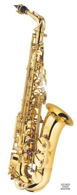 J.MICHAEL AL-500 Alto Saxophone