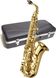 J.MICHAEL AL-500 Alto Saxophone