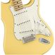 Електрогітара FENDER PLAYER STRATOCASTER MN BCR