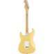 Електрогітара FENDER PLAYER STRATOCASTER MN BCR