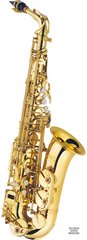 J.MICHAEL AL-500 Alto Saxophone