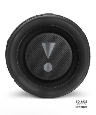 Акустика JBL Flip 6 (Black)