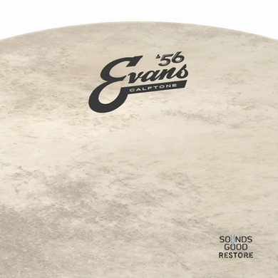 EVANS 20" CALFTONE