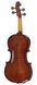 Скрипка STENTOR 1400/E STUDENT I VIOLIN OUTFIT 1/2