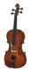 Скрипка STENTOR 1400/E STUDENT I VIOLIN OUTFIT 1/2