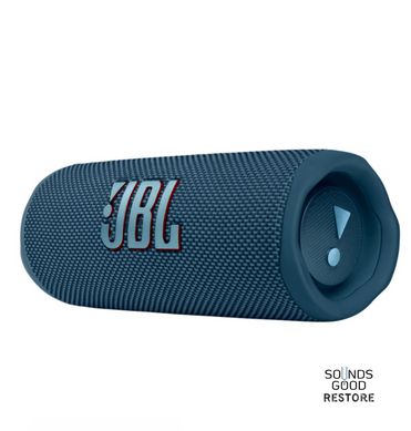 Акустика JBL Flip 6 (Blue)