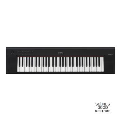 YAMAHA Piaggero NP-15 (Black)