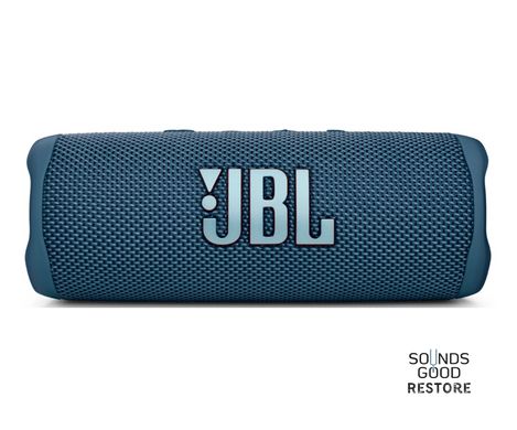 Акустика JBL Flip 6 (Blue)