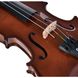 Скрипка STENTOR 1400/E STUDENT I VIOLIN OUTFIT 1/2