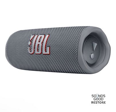 Акустика JBL Flip 6 (Gray)