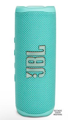 Акустика JBL Flip 6 (Teal)