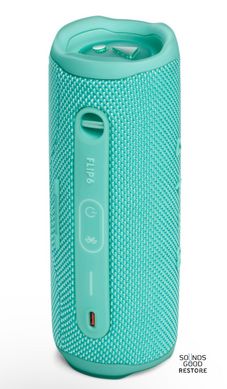 Акустика JBL Flip 6 (Teal)