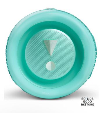 Акустика JBL Flip 6 (Teal)