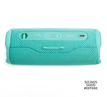 Акустика JBL Flip 6 (Teal)