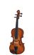 Скрипка STENTOR 1400/J STUDENT I VIOLIN OUTFIT 1/32