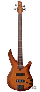 YAMAHA TRBX-504 (Brick Burst)