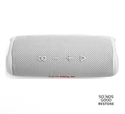 Акустика JBL Flip 6 (White)