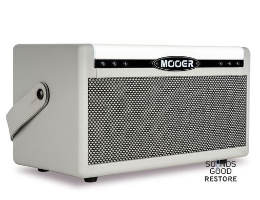 MOOER SD30i