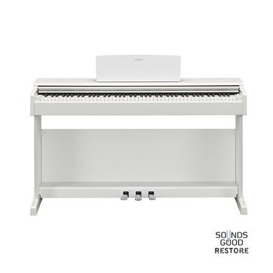 YAMAHA ARIUS YDP-145 (White)