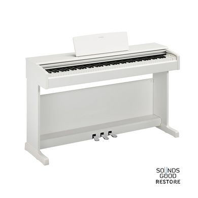 YAMAHA ARIUS YDP-145 (White)