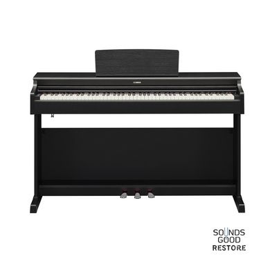 YAMAHA ARIUS YDP-165 (Black)