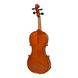 Скрипка Strunal Stradivarius 29wA