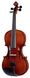 Скрипка STENTOR 1542/A GRADUATE VIOLIN OUTFIT 4/4