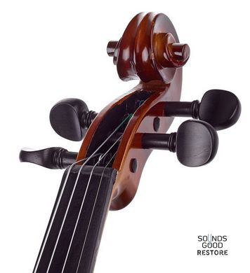 Скрипка STENTOR 1542/A GRADUATE VIOLIN OUTFIT 4/4