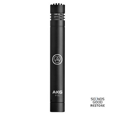 Микрофон конденсаторный с малой диафрагмой AKG Perception P170