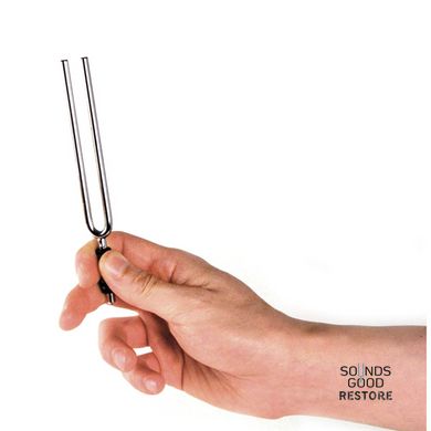 D'ADDARIO PWTF-E TUNING FORK (E)