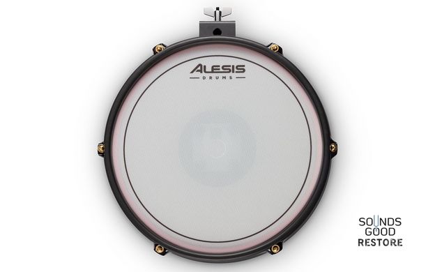 ALESIS CRIMSON II Special Edition