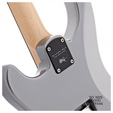 PRS SILVER SKY (Tungsten) #0325750