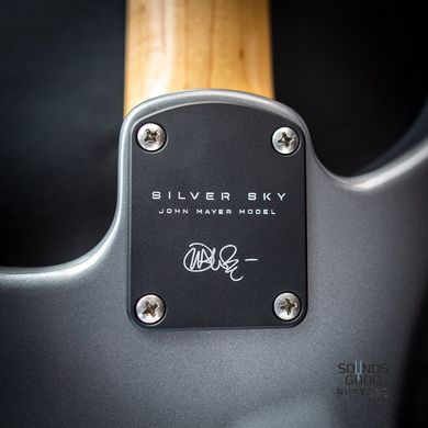 PRS SILVER SKY (Tungsten) #0325750