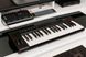 IK MULTIMEDIA iRIG KEYS2 PRO