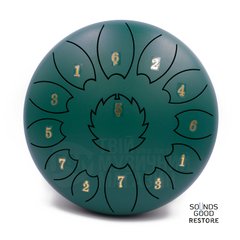 FZONE STD10I13N Green STEEL TONGUE DRUM