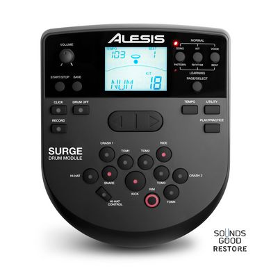 ALESIS SURGE MESH KIT SPECIAL EDITION