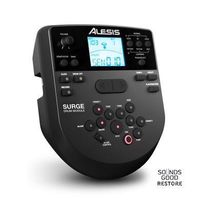 ALESIS SURGE MESH KIT SPECIAL EDITION