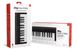 IK MULTIMEDIA iRIG KEYS 2 Mini