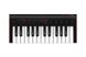 IK MULTIMEDIA iRIG KEYS 2 Mini